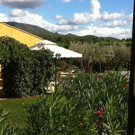 Les Cigales Des Pres Appartement Aups Exterior foto